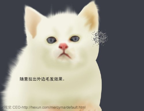 PS鼠绘猫咪实战教程[中国PhotoShop资源网]