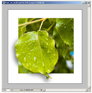 <a href='http://www.86ps.com/'><font color=''>Photoshop</font></a> CS Tutorial