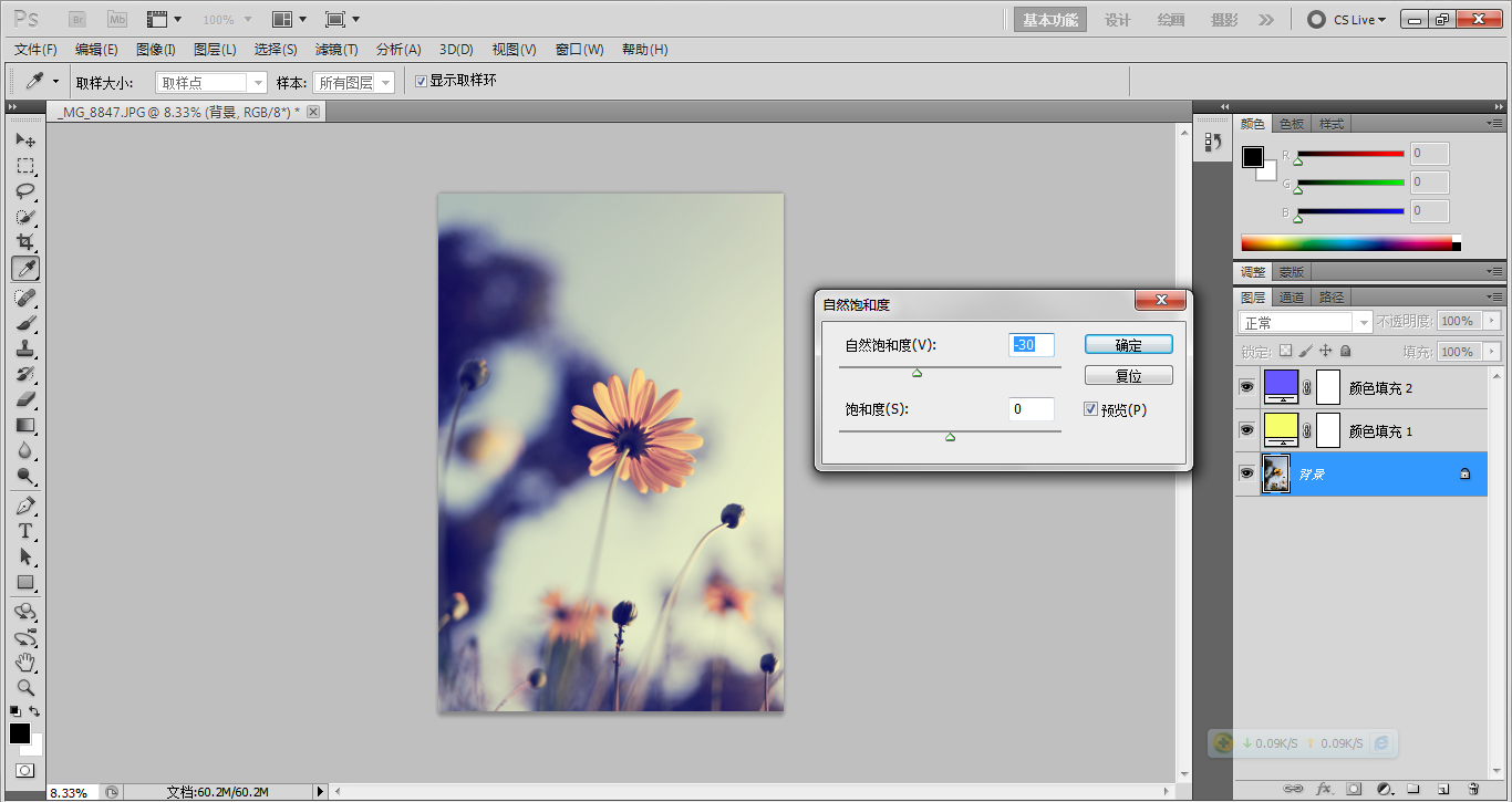 poshopcs6简单几步调出清淡色雏菊花卉图片效果教程