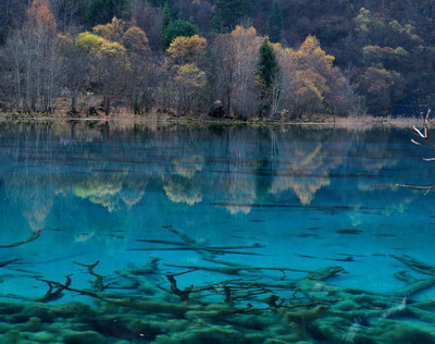 油画风景 ps素材 ps背景 人物 花草 园林 山水 猫猫 狗狗