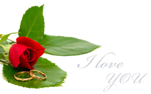 红玫瑰花和戒子爱情素材高清图片下载