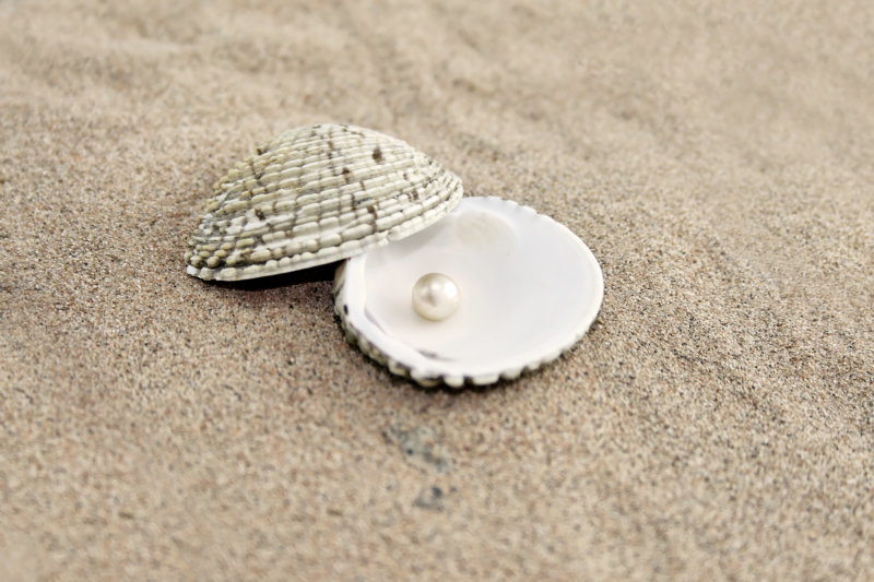 沙滩上放有一颗珍珠的带纹理状的贝壳高清图片下载