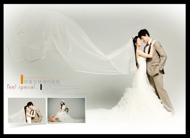 婚纱摄影价格表模板_最新免费婚纱模板(2)